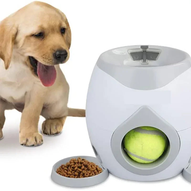 Fetch & Treat™ Reward Machine
